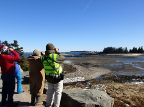 Schoodic Day Trip - Dutch Oven Cooking and Birding Tour