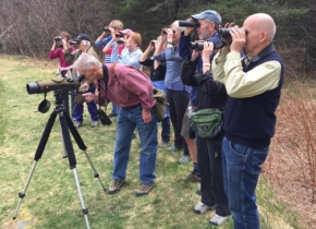 Members Only Fall Bird Migration Walk