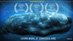 Sonic Sea Documentary