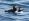 2021-06-26-BoatTrip